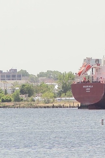 The Sun Dogs Have All Gone Home