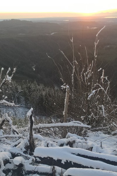 The Anvil of Mankind