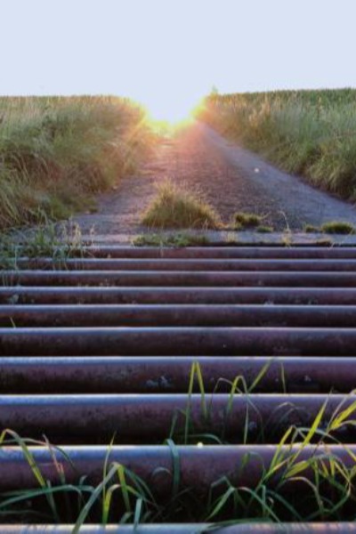 Cattle Gap: A Southern Cosmic