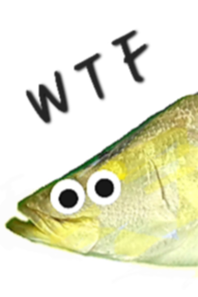 WTF - What The Fish