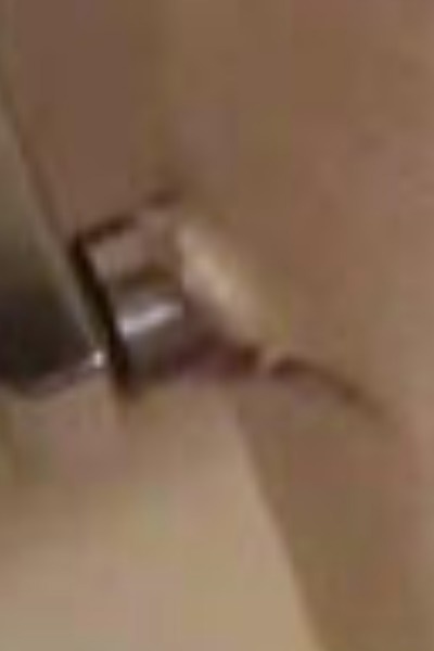 The Existence Software