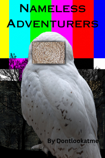 Nameless Adventurers [A minorly interactive Litrpg ieskai with elements of Horror/Comedy]