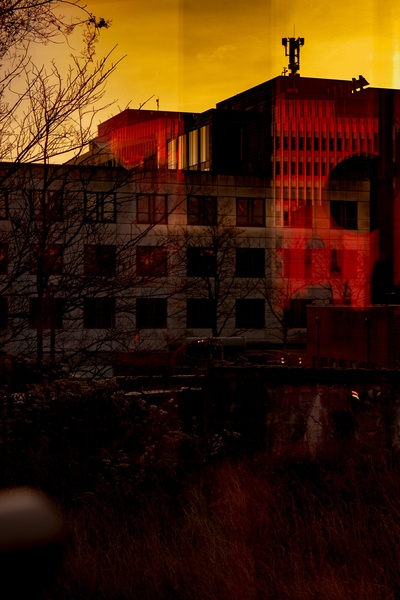 The Neighboring Country