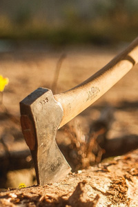 Hawkin's Magic Beers: Book 3. Gold Rank Brewer.