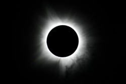 FANG – Worlds Beyond