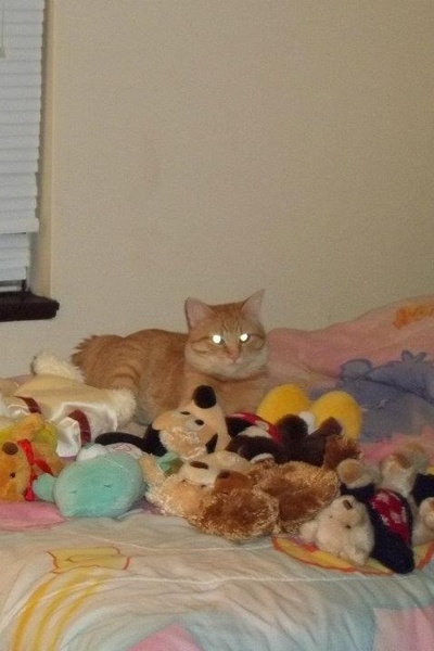 Dawn over the Queendom of Shallarah