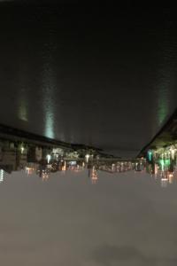 The Mortal Ingredients