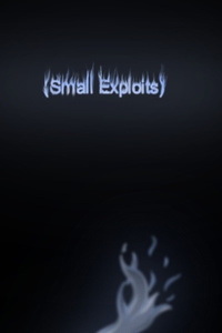(Small Exploits)