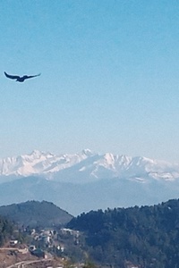 The journey of the feminine main lead becoming the manliest of men