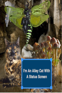 I'm an Alley Cat with a Status Screen