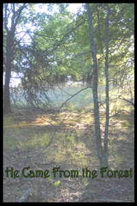 He Came From the Forest