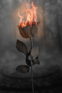 Against the Odds: A LITRPG Apocalypse