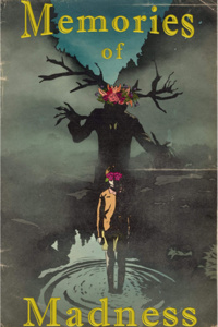 Memories of Madness: Illustrated Short Stories