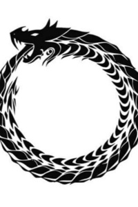 Pokemon ouroboros