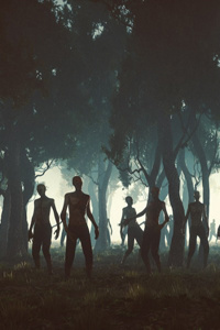 Realm of Fantasy Online