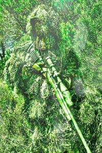 Agent Lightning: Operation Angel Arms