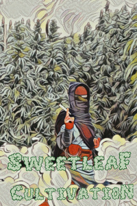Sweetleaf Cultivation