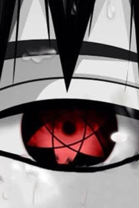 Building A village in Naruto Universe