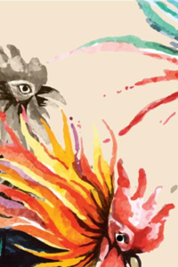 Phoenix Marked Asura