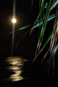 Moondark Madness: The Hole In The Moon