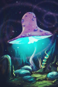 Mushroom Magi's adventure