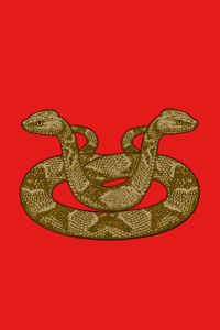 Thomas M. - On The Hallway