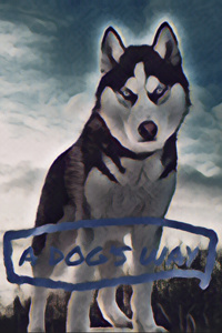 A Dog’s way