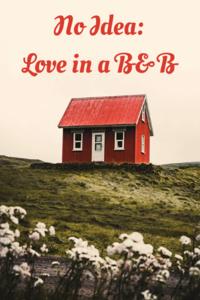 No Idea: Love in a B&B