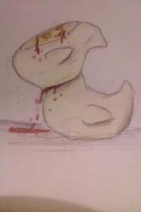 Of Frogs, Ducks, and Other Things — A Compendium of Short Stories