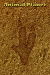 Animal Planet