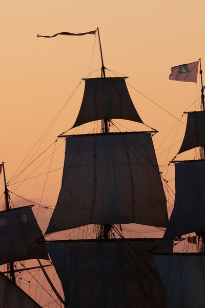 Chronicles of Imperial Ascension