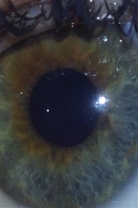 A Supernatural Bridehunt