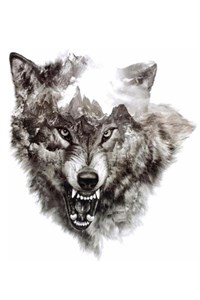 The Wolf of The North