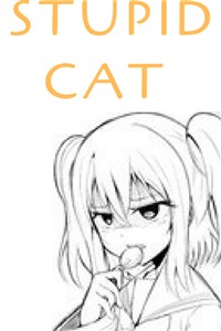 Stupid Cat