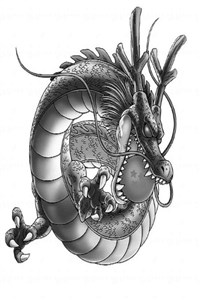 Dragon Ball: Saga Of The Strongest Human