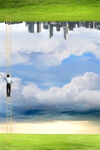 Looking through the window