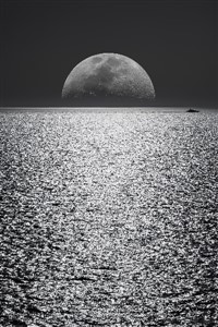 Mr.Easy's adventure in One Piece