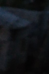 Yin the nobody in Hunter X Hunters World