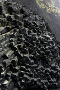 The Greensdale Project