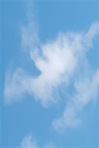 Twin stars from Twinlight