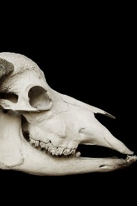 The Banality Of Eternity