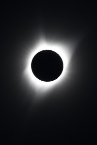 The Legend Of The Part-Time Detective