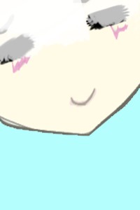 Struggles of a Slave