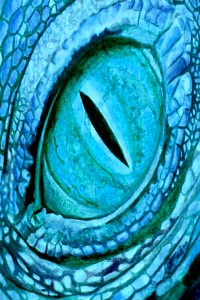 Transmigrated Dragon