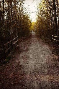 To the Moon and Back