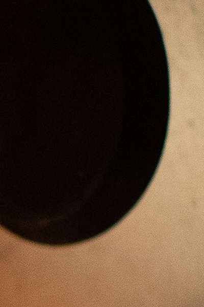 Spoon of Delicious Destiny