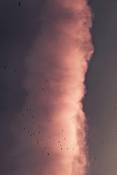 Troop forth replenish'd