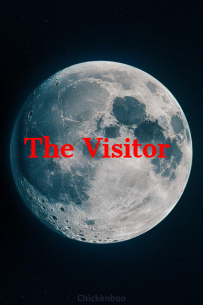 The Visitor