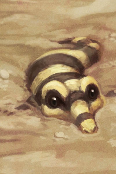 Child of the Desert (Unovan Pokémon Story)