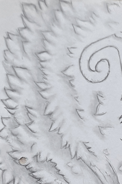 To You at the End of Everything